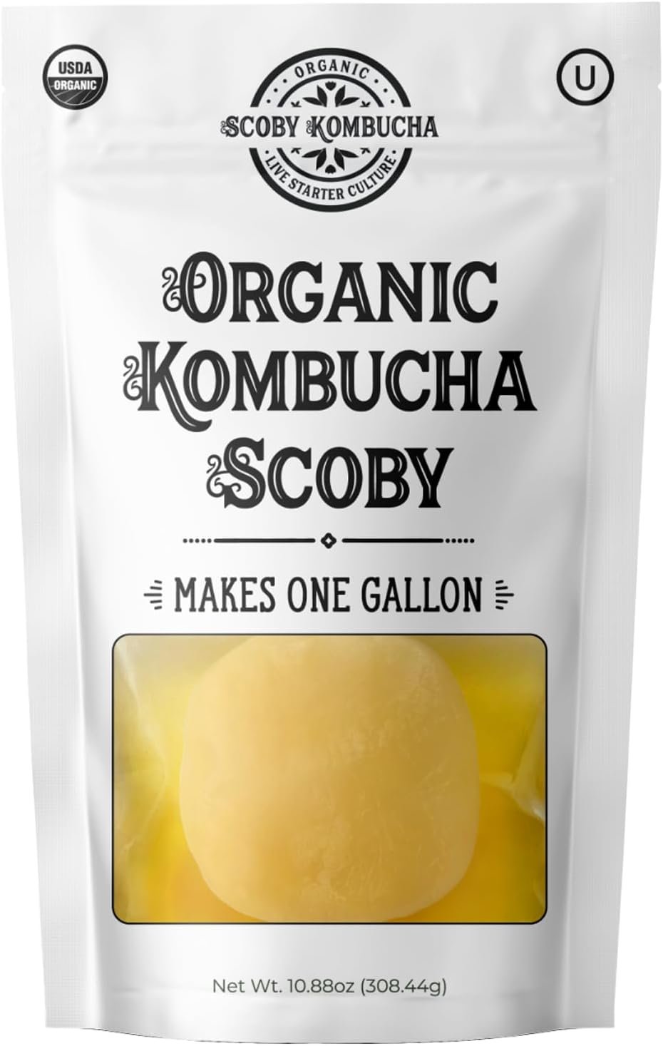 1 X Organic Kombucha Scoby – Live Culture by Scoby Kombucha