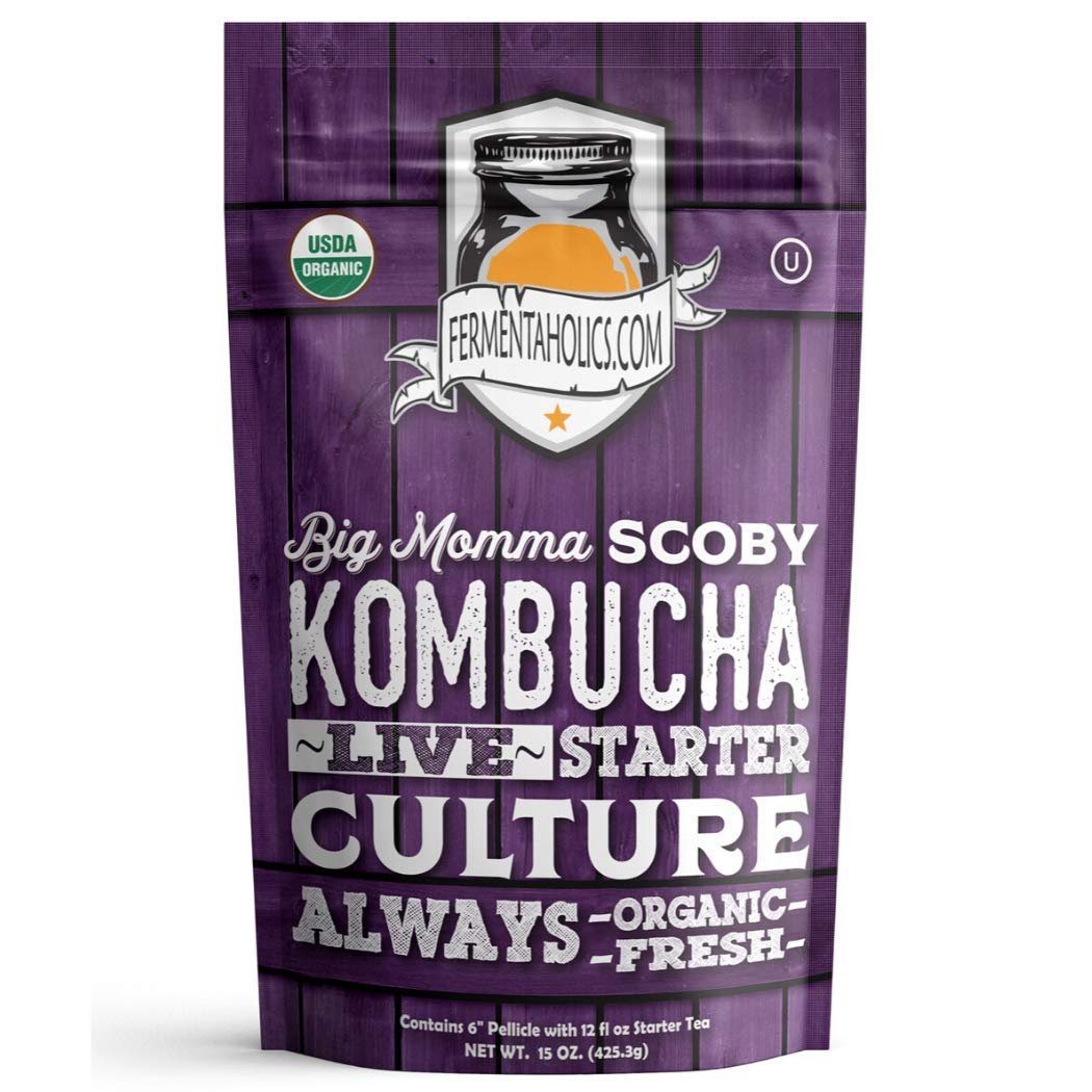 Fermentaholics BIG MOMMA Kombucha SCOBY – 12 fl o z – 6″ Pellicle + 12 oz Starter Tea – Organic Kombucha Culture – Makes 1 Gallon