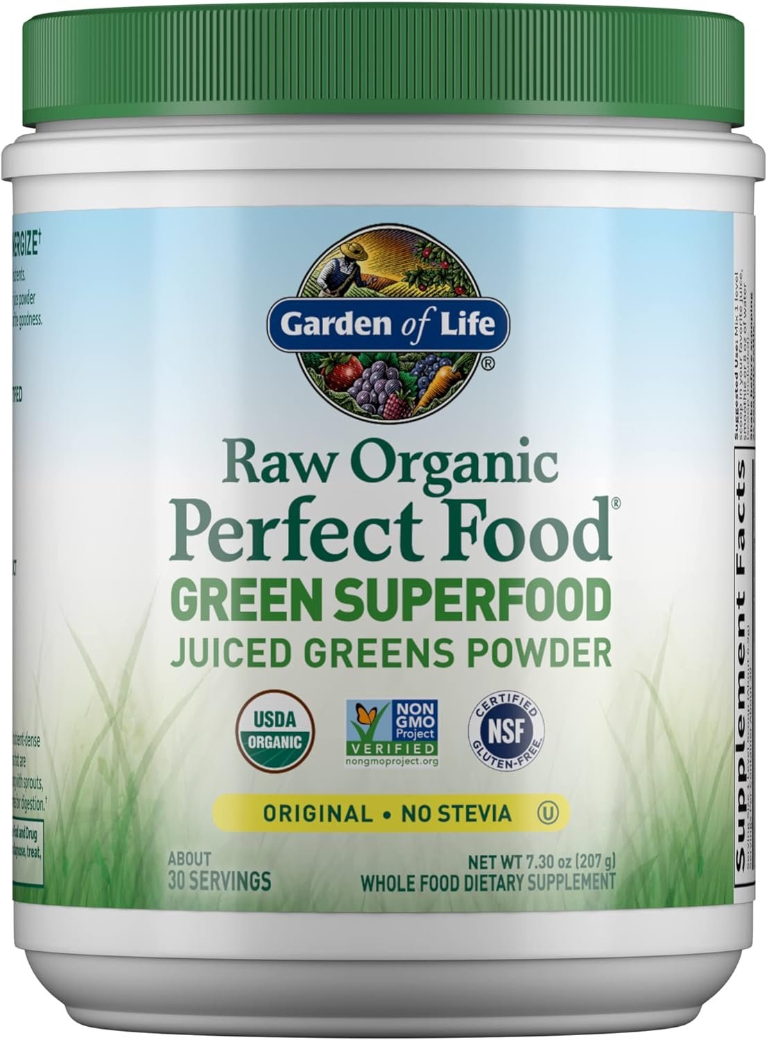 Garden of Life Raw Organic Perfect Food Superfood Juiced Greens Powder, Original Stevia-Free, Dietary Supplement, 30 Servings