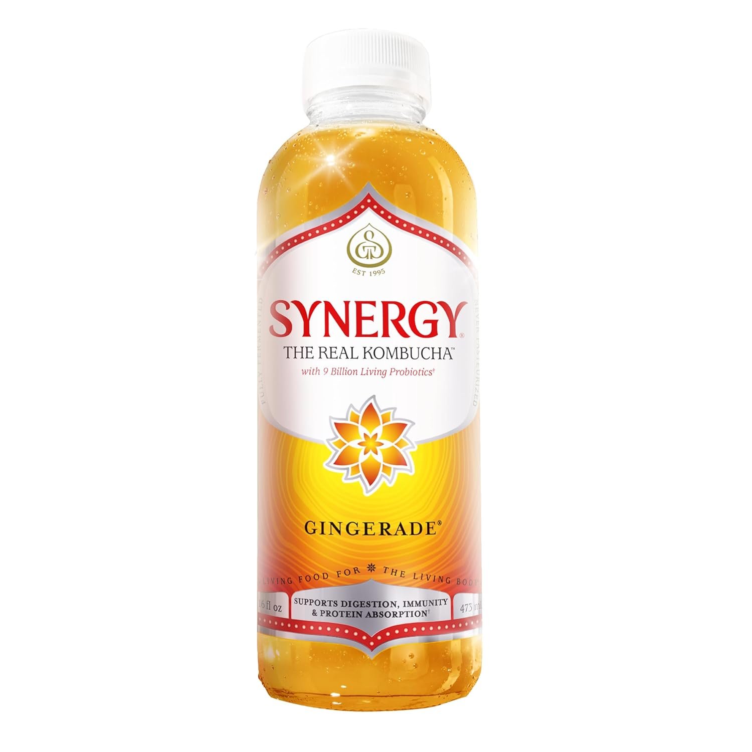 SYNERGY The Real Kombucha – Gingerade – 16 fl oz Bottle – Raw Probiotic Drink for Gut Health and Immune Support