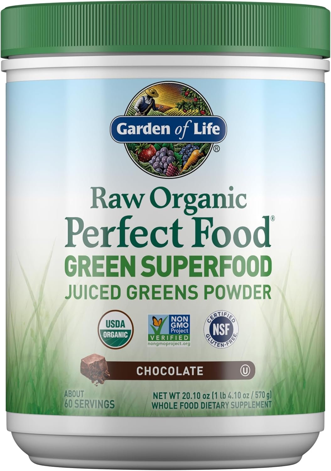 Garden of Life Raw Organic Perfect Food Green Superfood Juiced Greens Powder – Chocolate, 60 Servings, Non-GMO, Gluten Free, Vegan Whole Food Dietary Supplement Plus Probiotics, Enzymes