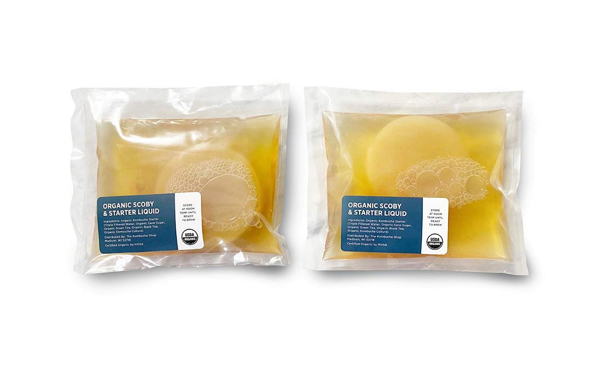 Organic SCOBY 2-Pack | Kombucha Starter Kit with Live Culture for Brewing Kombucha Tea – Urban Kitchen