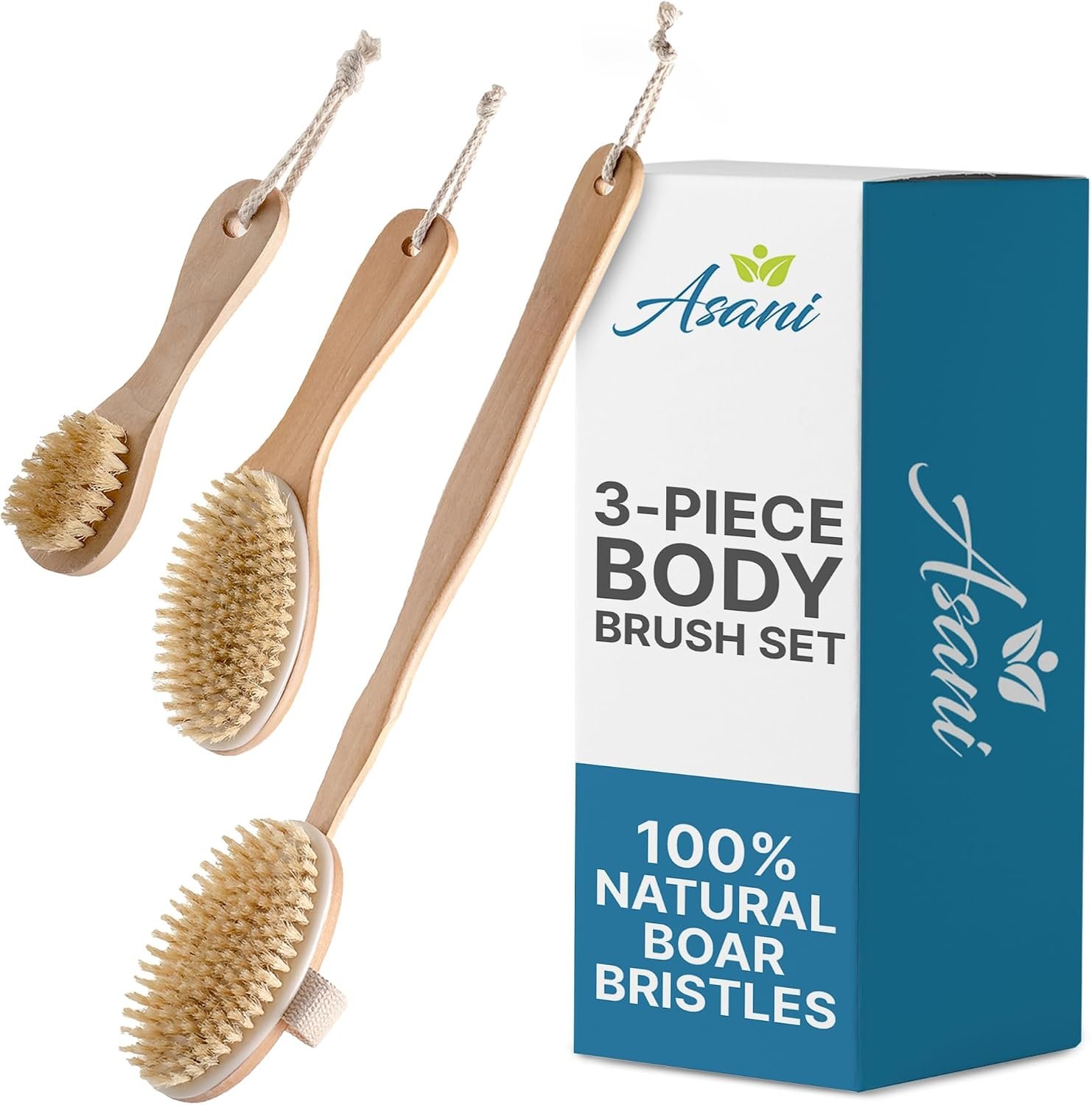 Asani Dry Brushing Body Brush Set for Lymphatic Drainage & Cellulite – 3-Pcs Detachable Back, Contour Body & Face Brushes Organic Gift for Dry Skin, Exfoliation, Invigorating Showers