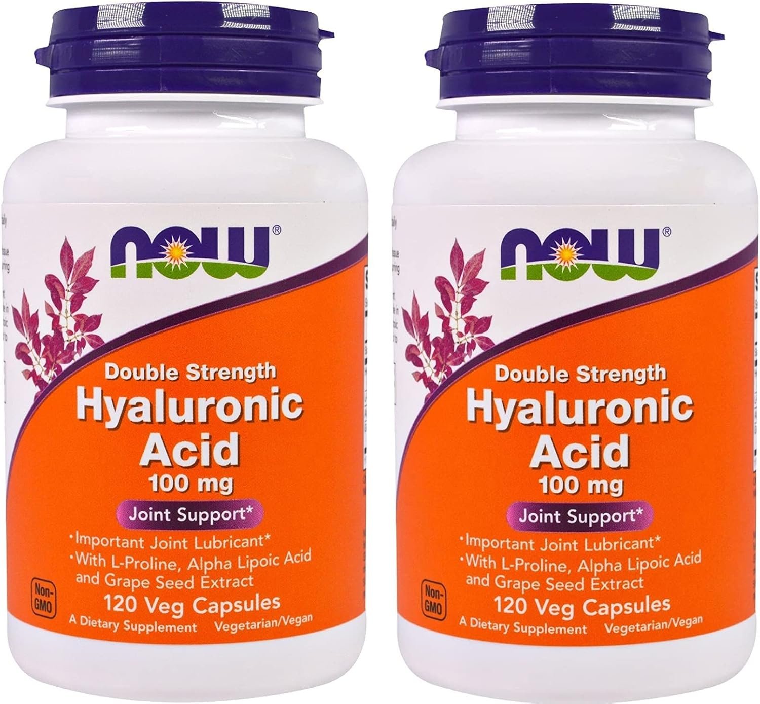 NOW Foods – Hyaluronic Acid 100 mg – 120 Veg Capsule (Pack of 2)